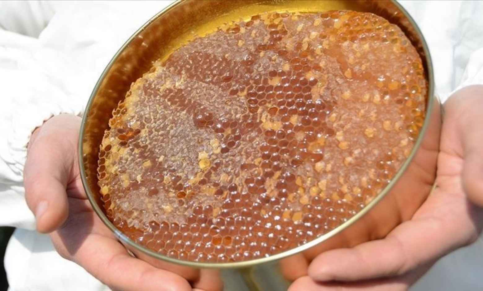 Doğu Karadeniz’in bal ihracatı 11 ayda 1,9 milyon doları aştı
