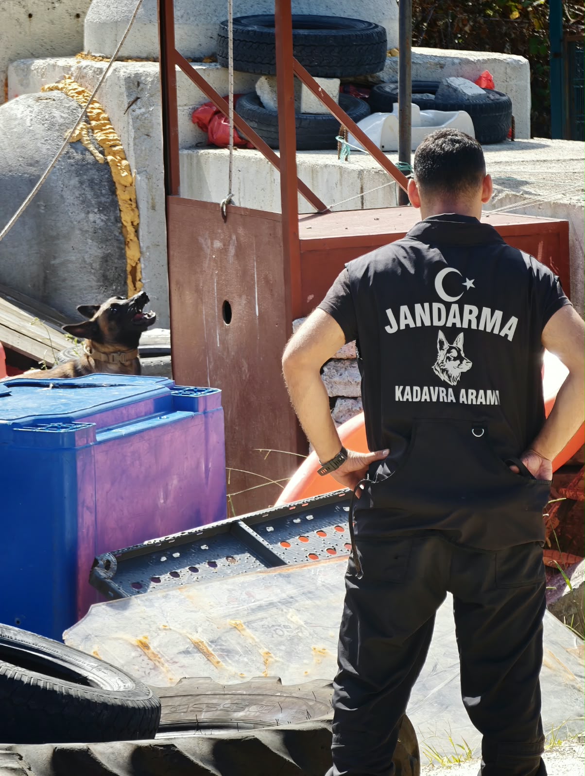 Trabzon K-9 Parkur Enkaz Eğitim Sahası'nda uygulamalı eğitim yapan arama kurtarma personeli ve arama köpekleri