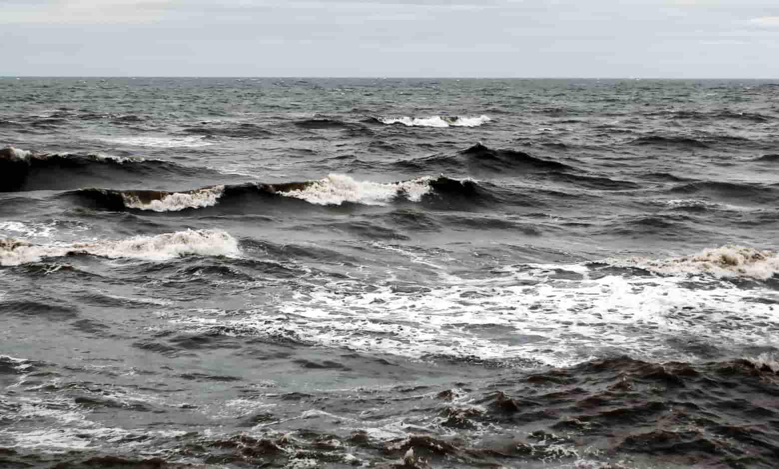 Doğu Karadeniz’de yağmur, rüzgar ve sis etkili olacak